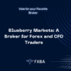 Blueberry Markets: A Broker for Forex and CFD Traders